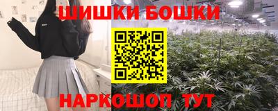 СК Будённовск