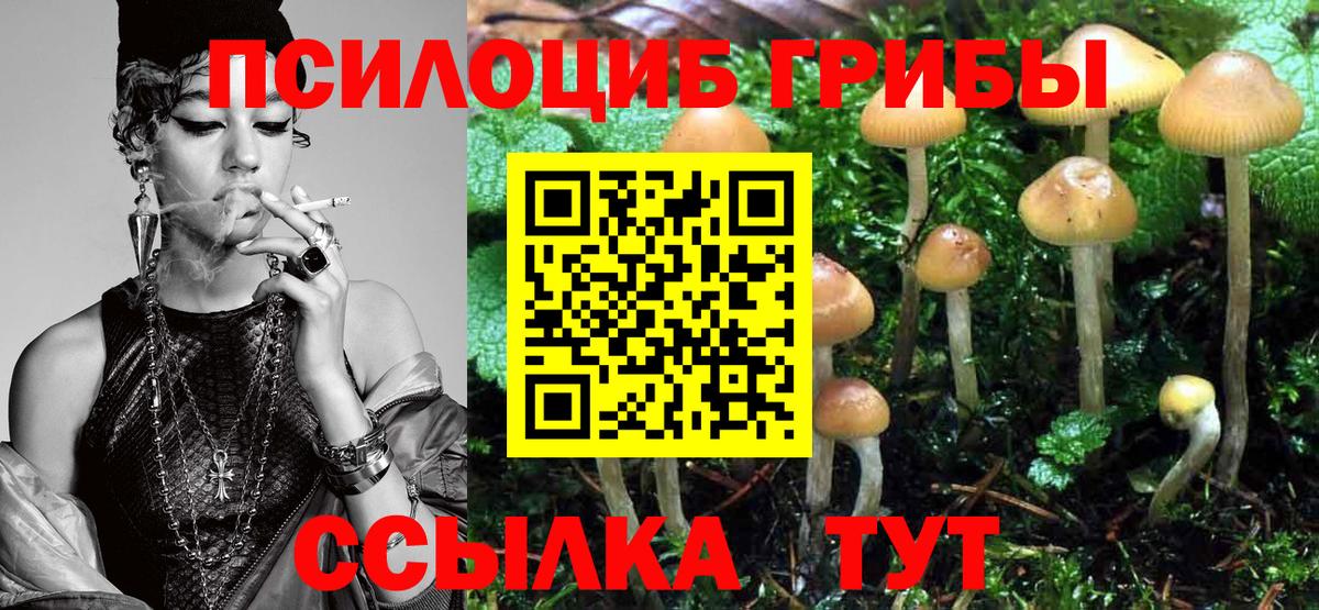 Псилоцибиновые грибы MAGIC MUSHROOMS  Галлюциногенные грибы мицелий  Саянск  Вход с VPN 