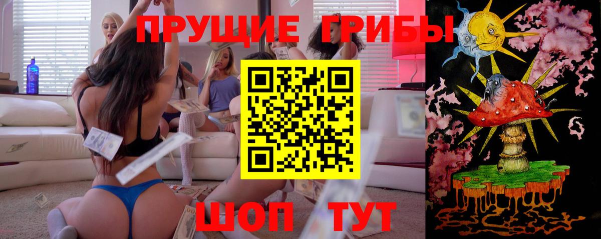 Галлюциногенные грибы Psilocybine cubensis Саянск